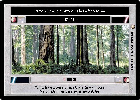 Forest (L) - Click Image to Close