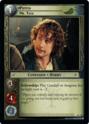 FOIL 2C110 - Pippin, Mr. Took