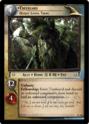 4C104 - Treebeard, Oldest Living Thing