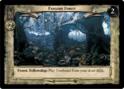 4U332 - Fangorn Forest (2)